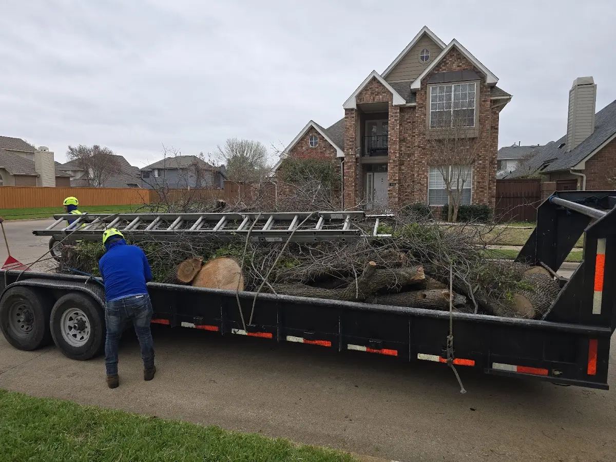 Expert Crown Reduction with proper safety equipment in Carbon Hill